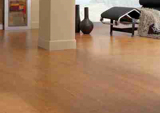 Parquet PMP