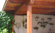 Ampliar Foto